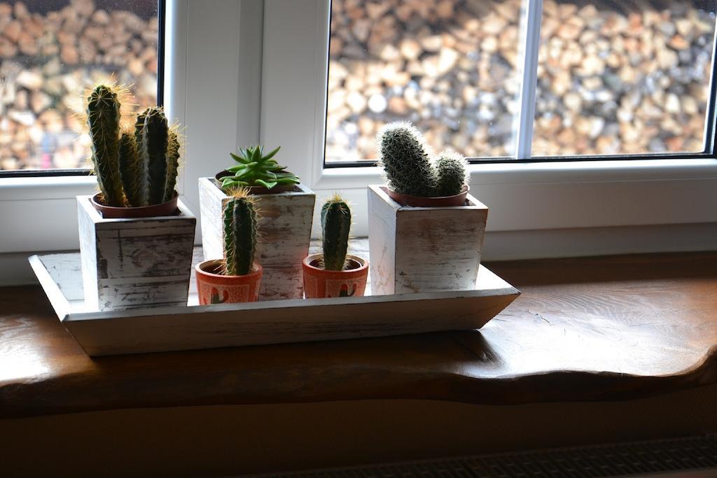 U Robsona Apartment Szklarska Poręba Cameră foto